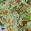 Myrcene Terpene Cannabis Now
