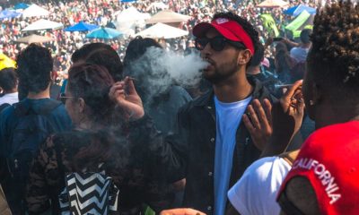 Next states to legalize marijuana Cannabis Now