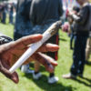 Popular Strains to smoke on 420 Cannabis Now