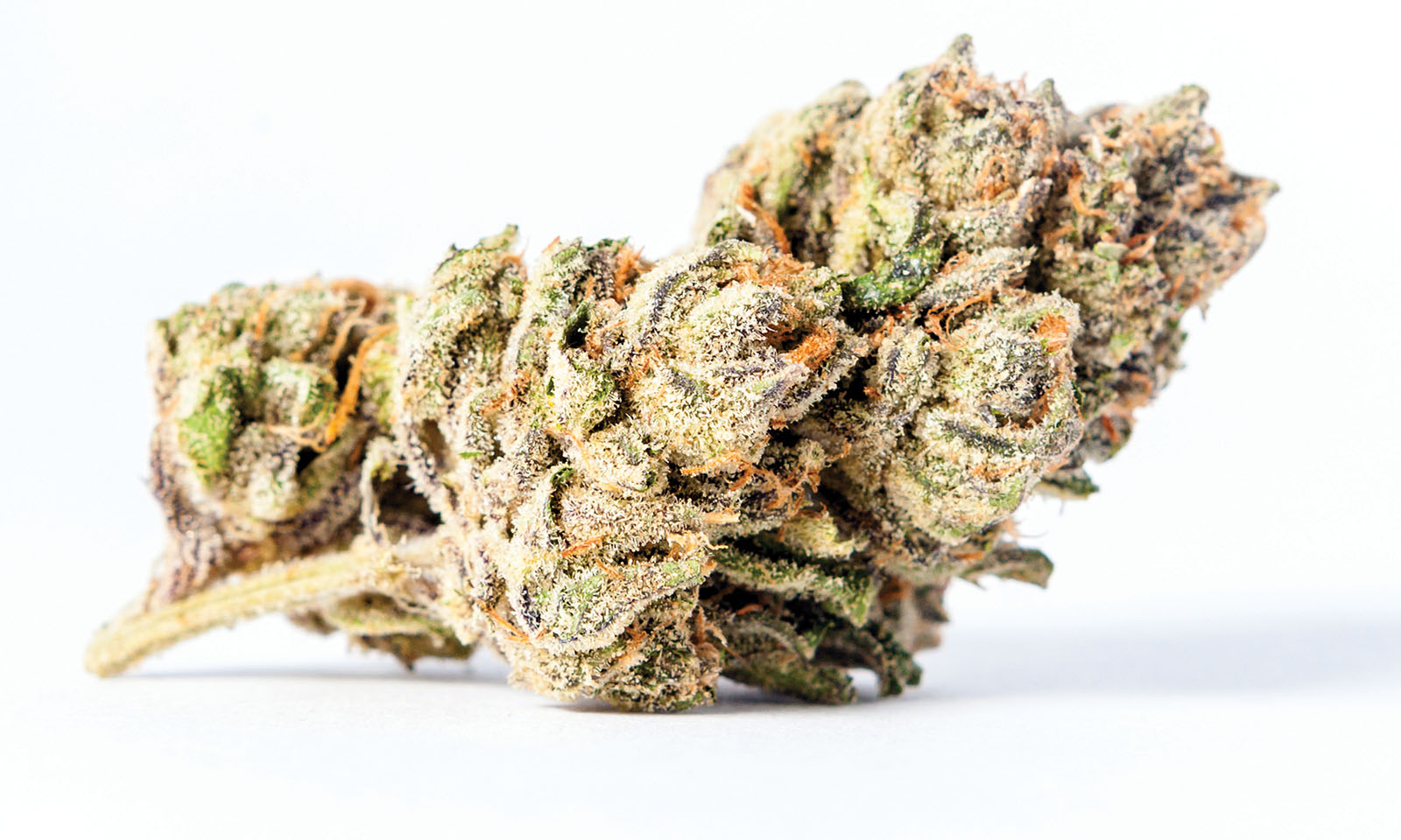 Rozé All Day: A Strain Review of Zkittlez's Famed Offspring. 