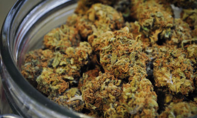 Maine moves towards recreational cannabis Cannabis Now