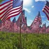Memorial Day American Flag Cannabis Access For Veterans Cannabis Now