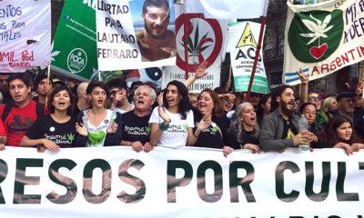 mothers day marijuana activism Argentina Cannabis Now