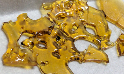 Shatter BHO Cannabis Concentrates Extracts Cannabis Now