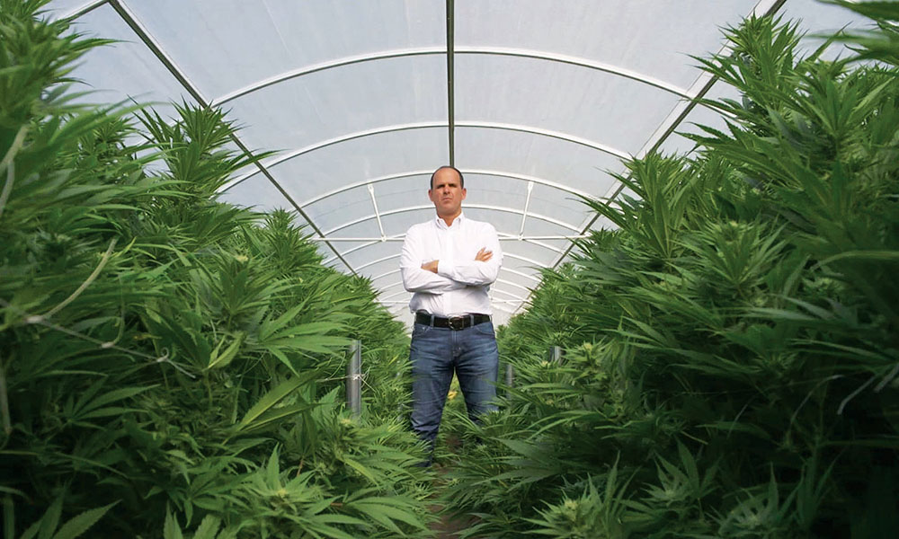 In August, CNBC’s investment-meets-travel-journalism show “The Profit” hopped on the cannabusiness bandwagon with an episode called “Marijuana Millions.”
