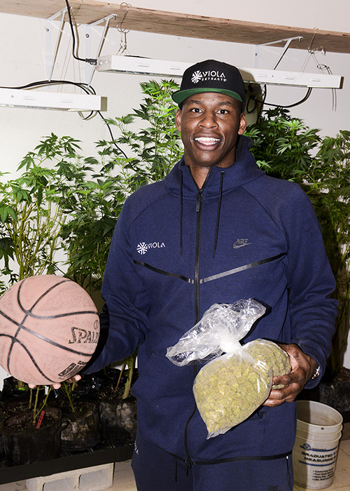 Al Harrington Basketball Marijuana NBA Cannabis Now