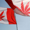 canadian cannabis flag