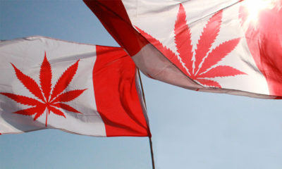 canadian cannabis flag