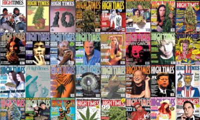 High Times Shares
