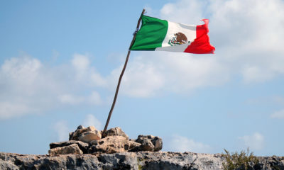 Mexico Eyes Legal Pot As Solution to Narco Crisis
