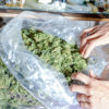 Dream Job: Get Paid $50 per hour to Smoke Marijuana