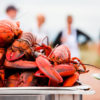 Lobsters Get High Because of the Endocannabinoid System
