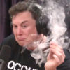 Elon Musk’s Tesla IPO Was a Marijuana Joke