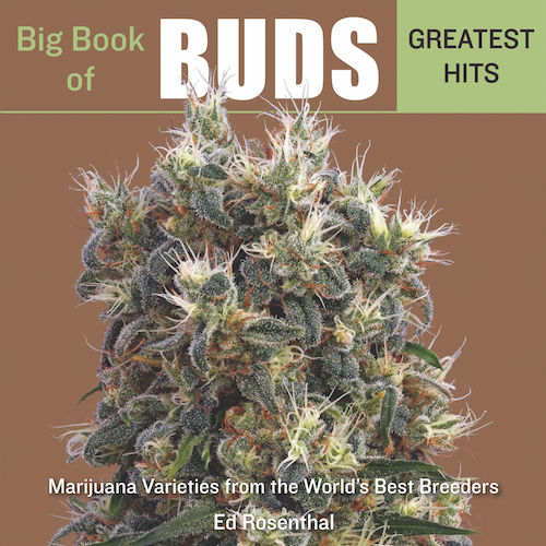 Big Book of Buds Cannabis Now