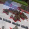 Canada Cannabis Crackdown Vancouver Cannabis Now
