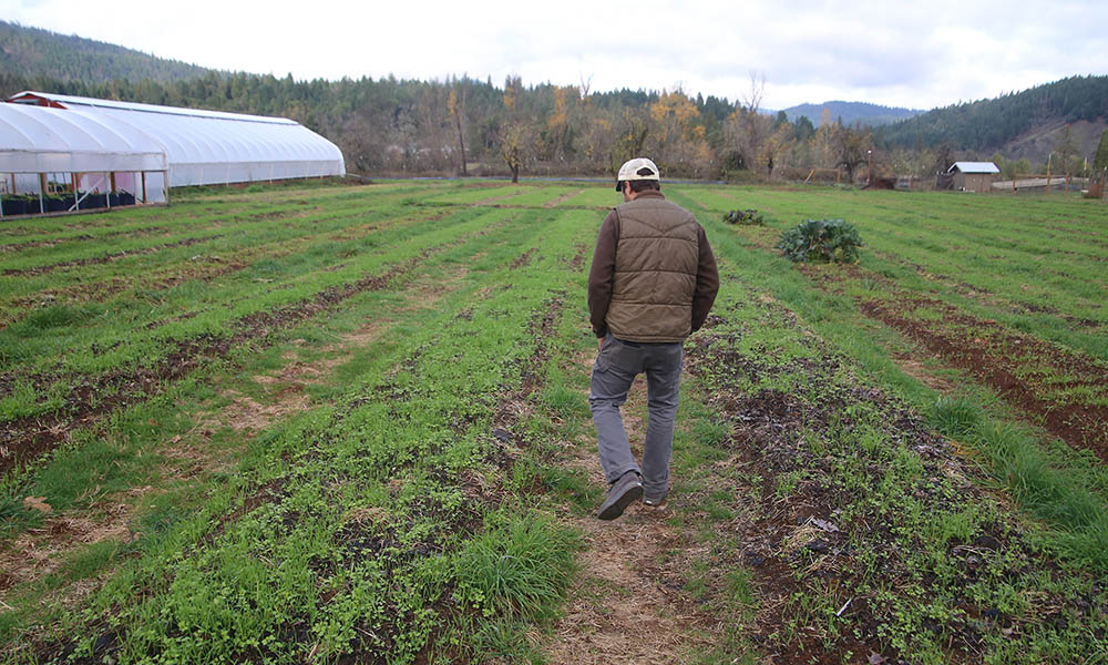 Cody Alter Farms Oregon Marijuana Cover Crops Cannabis Now
