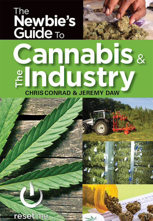 Cannabis Books Newbies Guide to the Cannabis Industry Cannabis Now