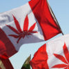 Legal Pot in Canada: What You Need to Know