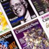 Cyber Monday Cannabis Now Subscription Sale