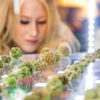 6 Must-See Booths at The Emerald Cup 2018