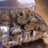 The Ban on Free Marijuana Samples Criminalizes Marijuana Legalization