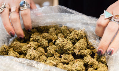 Why Is California Still Paying Black Market Prices for Legal Pot?