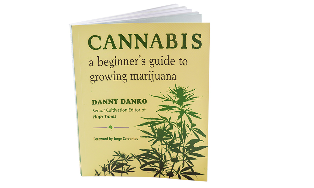 Danny Danko Cannabis Now