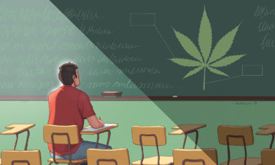 Cannabis on the Curriculum