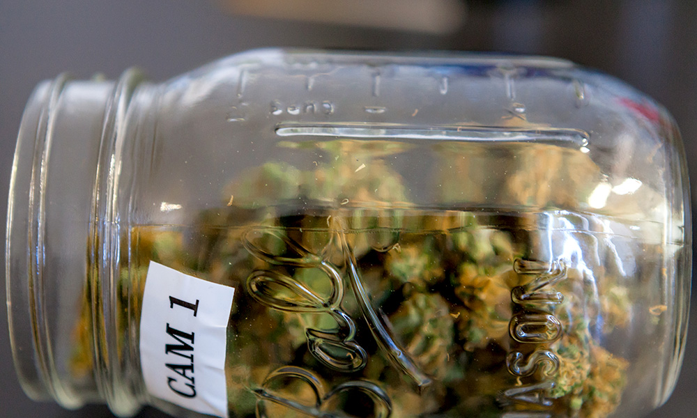 Surprise, Surprise: Polls Show Americans Are Excited About Legal Marijuana