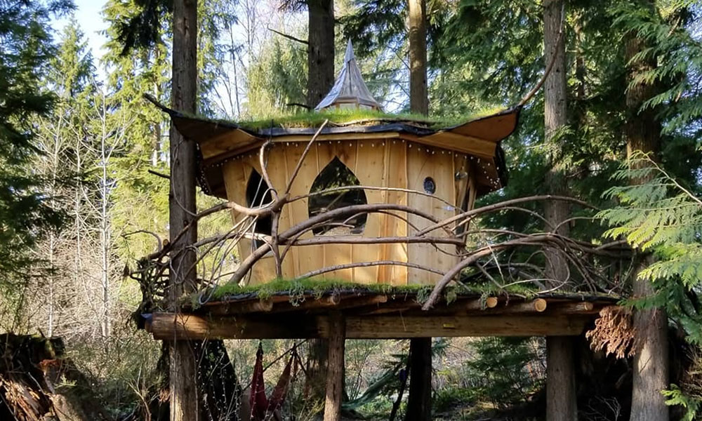 Stay at a 420 Friendly Tree House