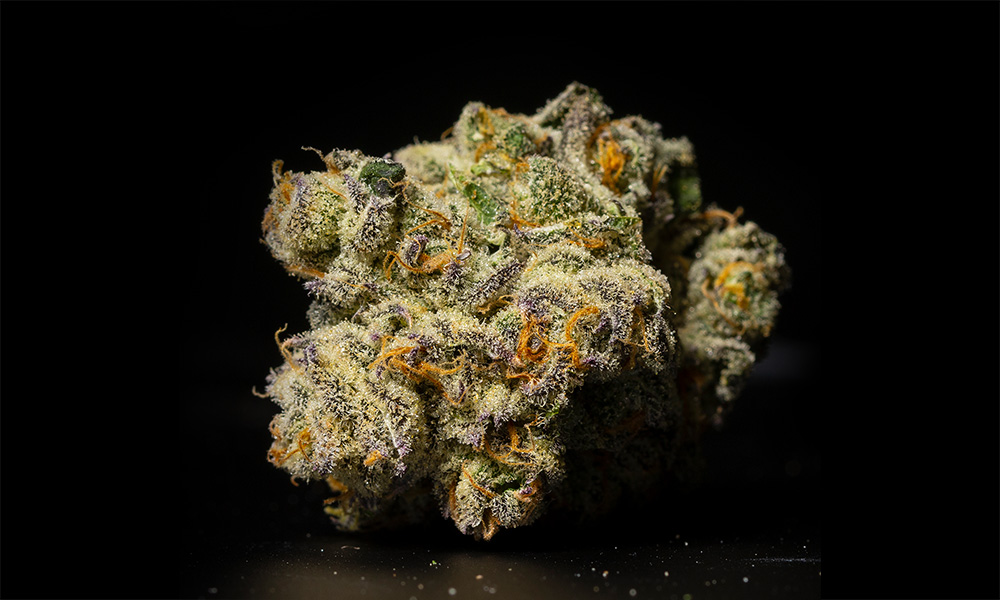 The 5 Most Hype Strains for 420 This Year | Cannabis Now