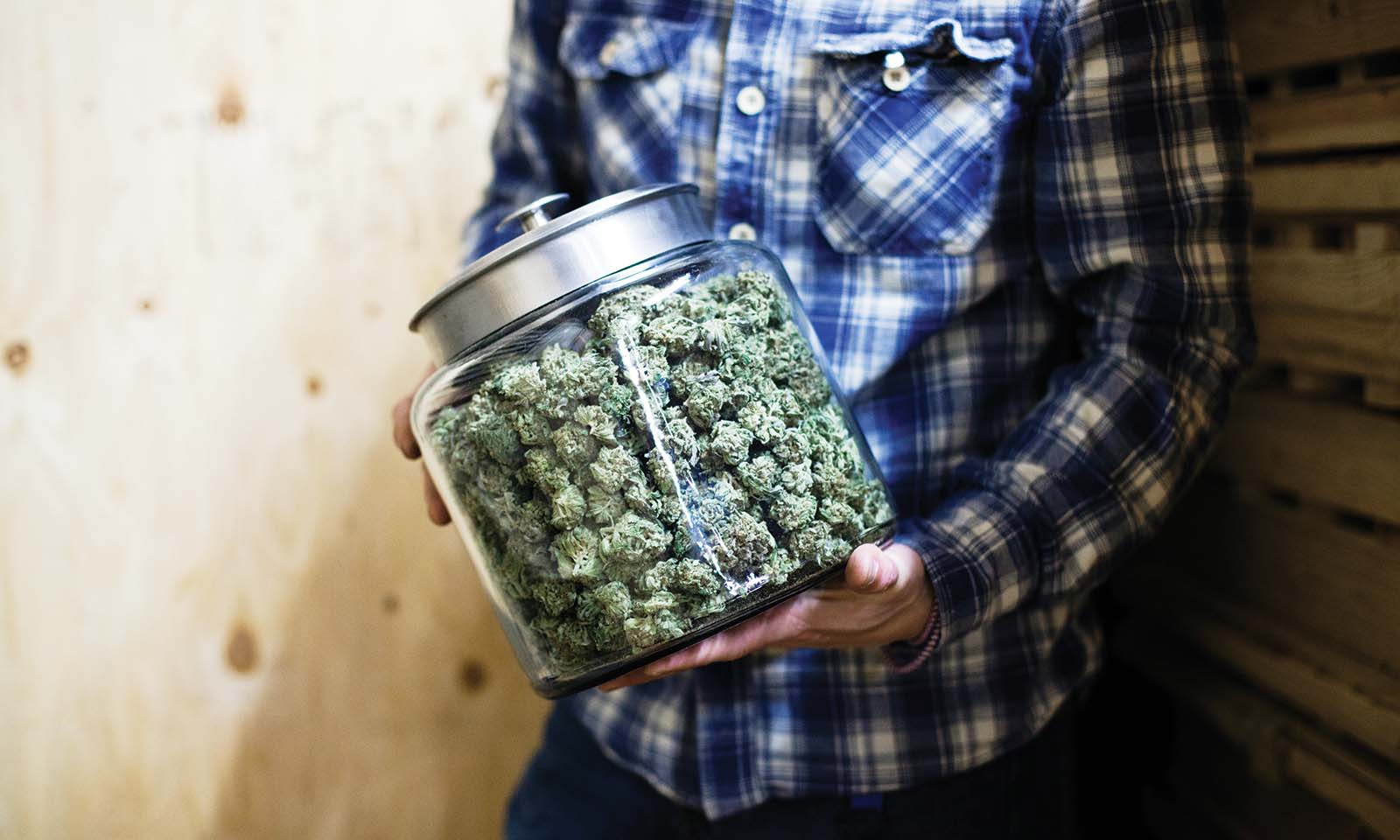 You've Grown It, Now Own It: How to Master Drying & Curing Cannabis