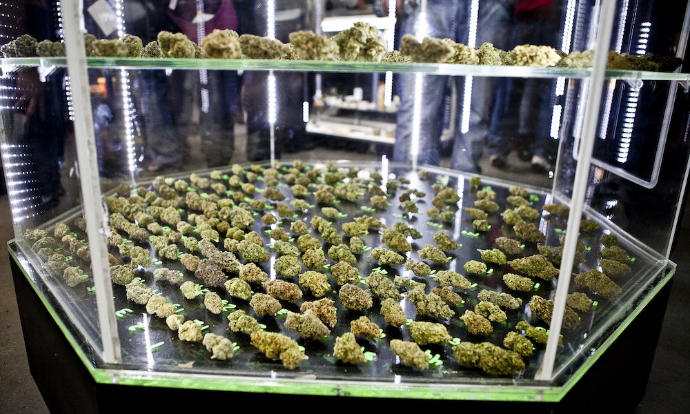 The Emerald Cup Is Expanding to Europe