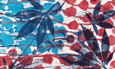 Marijuana Legalization: Where’s the Buzz About Freedom?