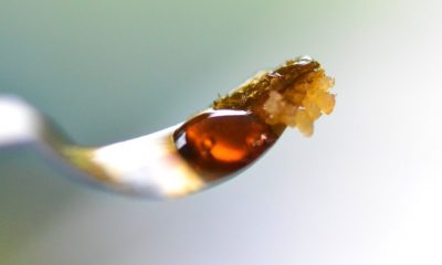 Got Terps? Extracts Can’t Match Flower Flavor Profiles