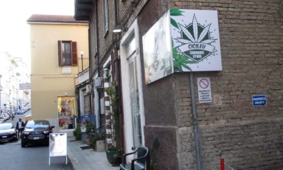 Italy’s New Gov’t Could Legalize Pot
