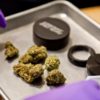 OSHA Training Comes to California Cannabis