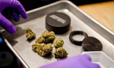 OSHA Training Comes to California Cannabis
