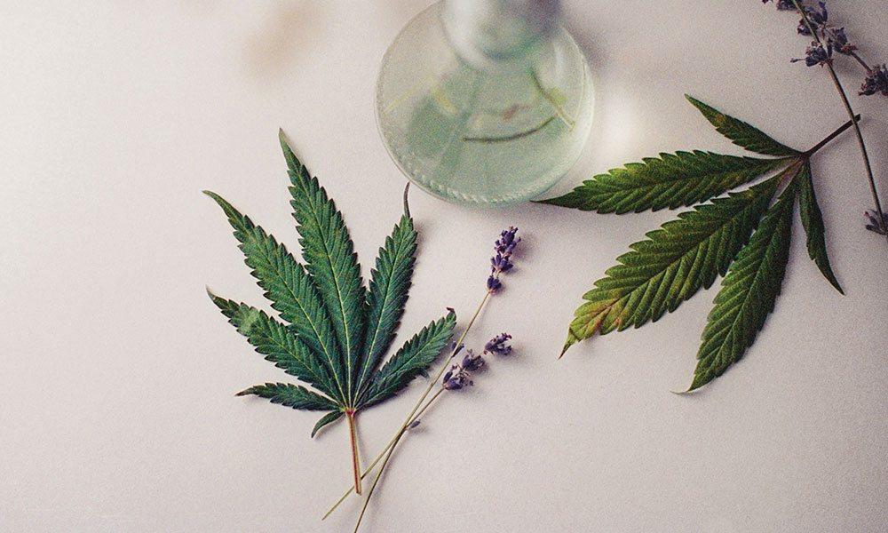 photo of The Cannabis Now Guide to Pairing Herbs with Your Herb image