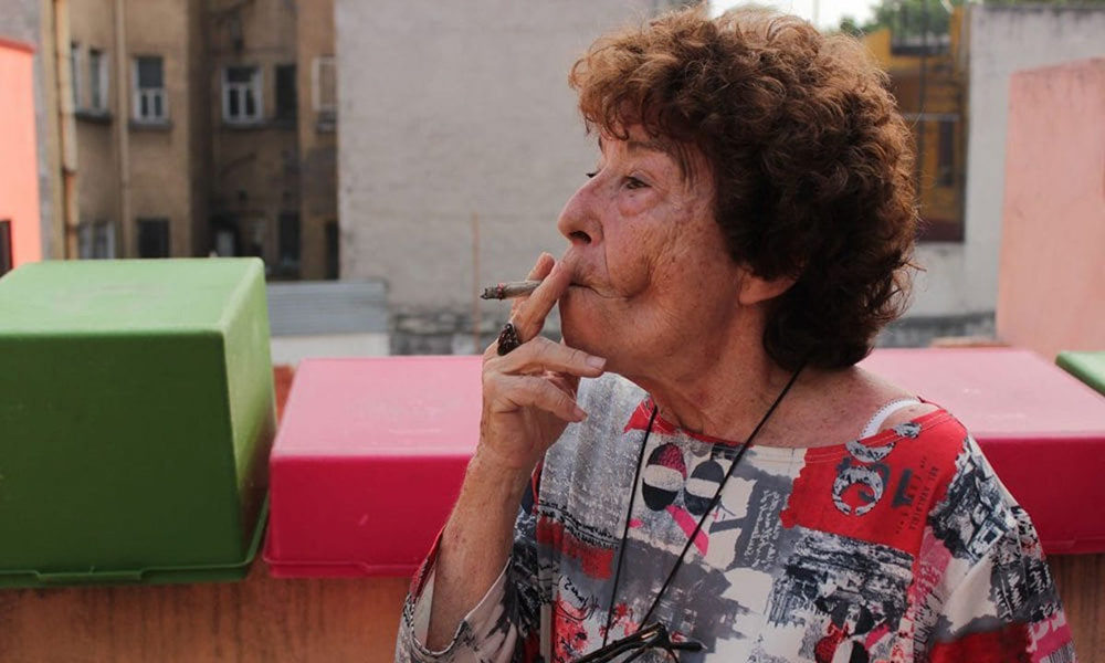 how to make dip from tobacco leaves Can You Use Pipe Tobacco as Dip? Know Your Tobacco