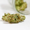 Weedmaps Cannabis Now