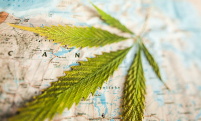 International cannabis