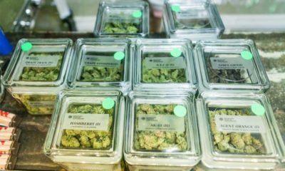 Cannabis Dispensary Shopping Guide