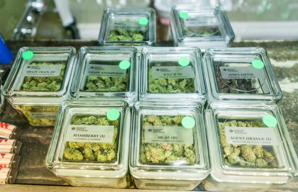 The Ultimate Pot Shopping Guide From a Cannabis Industry Expert