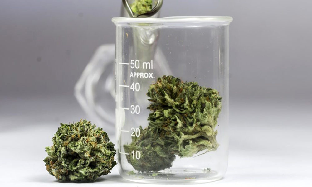 photo of Everything You Need to Know About the Science Behind Cannabinoids image