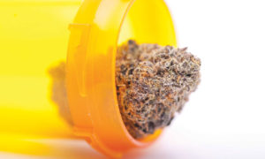 Cannabis Nug in Prescription Bottle