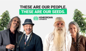 Homegrown Cannabis Company