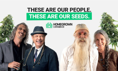 Homegrown Cannabis Company