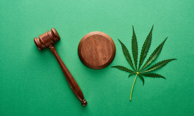 legalize cannabis