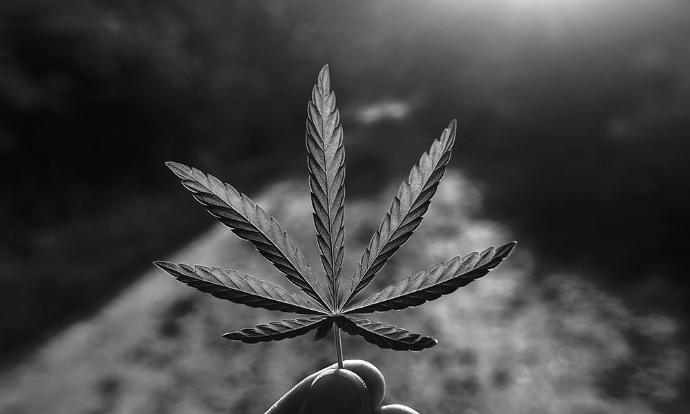 VA Still Punishes Veterans For Using Medical Cannabis